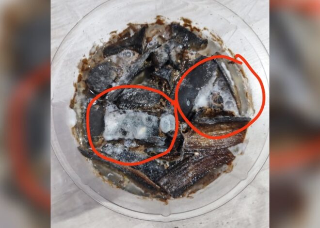 Banyak nutrisi, ini adalah cara membuat kompos kulit pisang