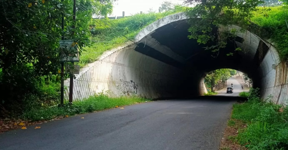 Tiba -tiba dia ‘tertawa’, pengendara melarikan diri setelah seorang wanita berpakaian merah