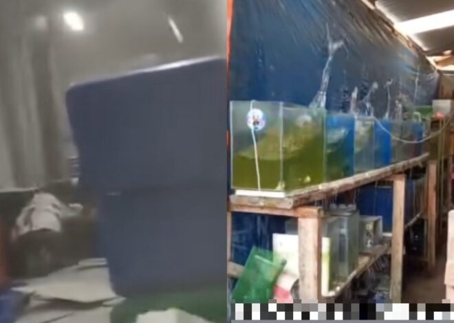 Saat gempa di Filipina, ada satu orang tewas akibat tembok runtuh