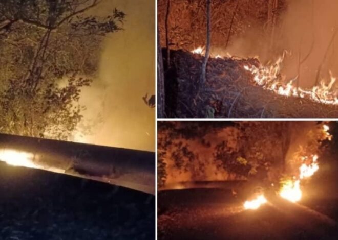 Kebakaran hutan di Salak Tinggi berhasil dipadamkan setelah 13 jam