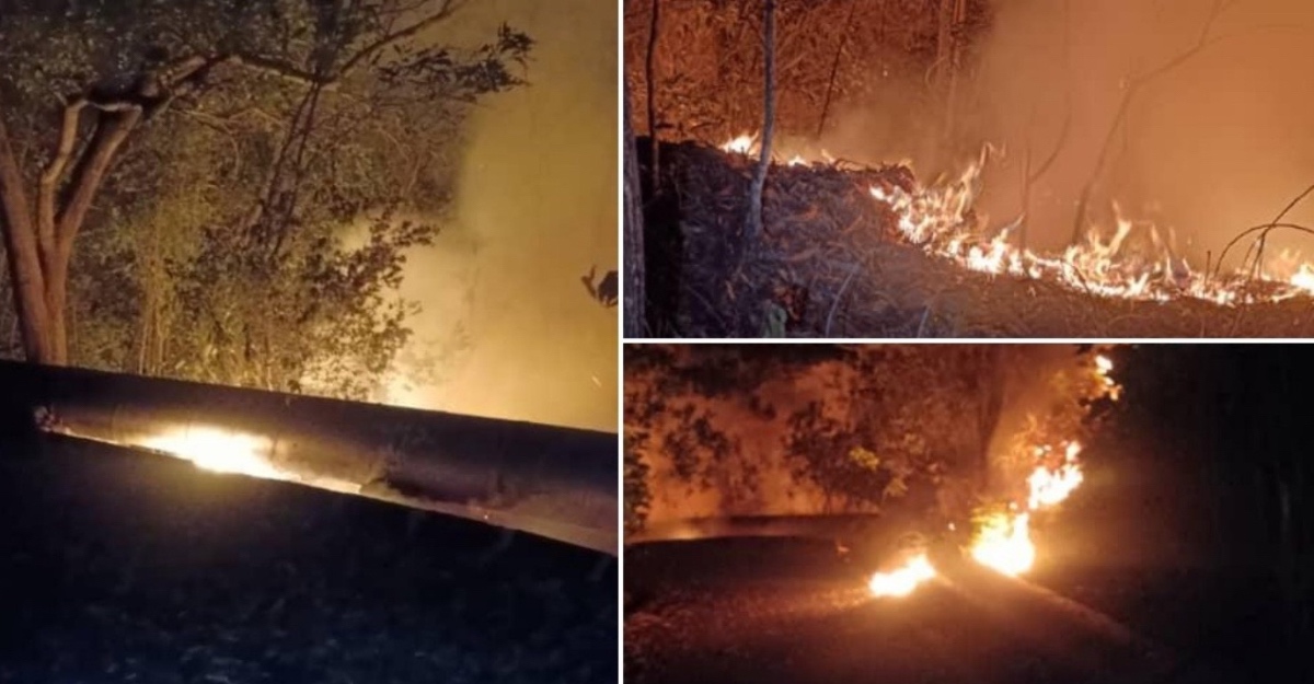 Kebakaran hutan di Salak Tinggi berhasil dipadamkan setelah 13 jam